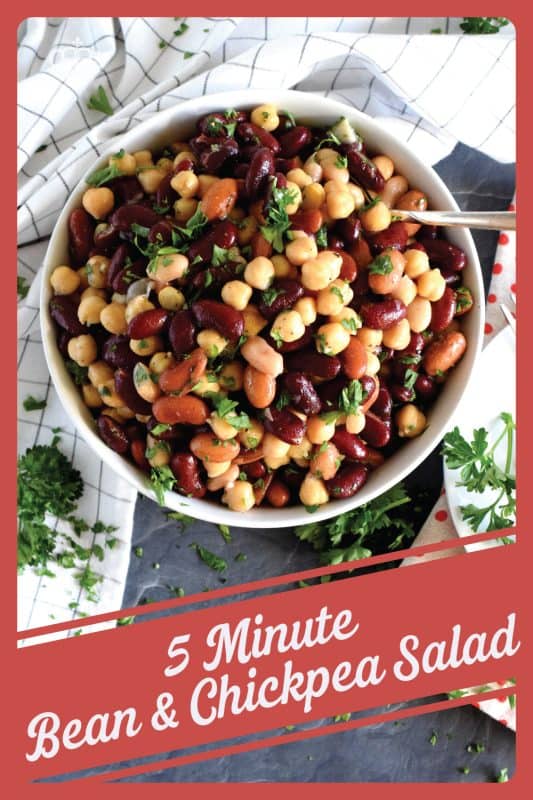 A quick, delicious, and hearty salad that's perfect for any occasion! This 5 Minute Bean and Chickpea Salad will pair well with anything you serve at a picnic, backyard barbecue, or local church potluck! A tangy and savoury salad this good and this inexpensive is a keeper for sure! #chickpea #bean #salad #side #vegetarian #nobake #canned #5minuterecipes