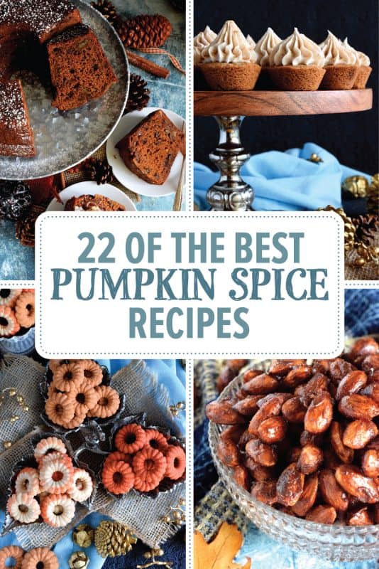 It’s time for pumpkin spice and a lot of it! Unapologetically and without hesitation, I’m presenting 22 of the Best Pumpkin Spice Recipes. Fall isn’t fall without pumpkin spice, so let the countdown begin - here you will find cakes, truffles, cookies, loaves, donuts, snacks, and more! #pumpkin #pumpkinspice #recipes #collection #list #roundup