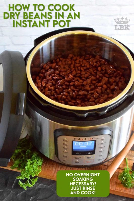 No more pre-soaking the beans before you start cooking!  Take the guesswork out completely with this guide to How to Cook Dry Beans in an Instant Pot!  Any dry bean will work the exact same way!! #instantpot #drybeans #canning #howto