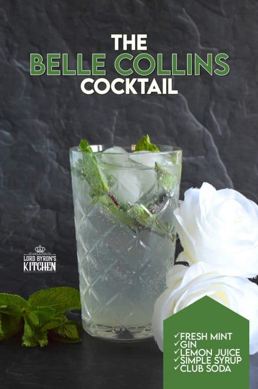 Make room for Tom's sister, Belle! This tall glass of minty-lemon flavoured cocktail is cold and refreshing. Prepared with simple ingredients like fresh mint leaves and lemon juice, gin, sugary syrup, and soda, it’s sure to wake up your senses! When it comes to drinks suited for lounging in the backyard on a hot, summer day, nothing beats Tom's sister, Belle! #bellecollins #cocktails #summerdrinks #refreshing #mint