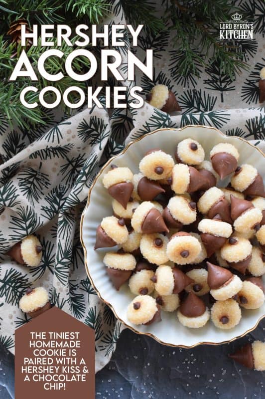 These adorable bite-sized cookies are bound to be a complete hit! They look stunning all on their own, but are perfect for filling in the gaps on your Christmas cookie platter. Hershey Acorn Cookies are prepared with a miniature homemade cookie, and paired with a chocolate kiss and a single chocolate chip! #christmas #holiday #baking #acorn #hershey #kiss #cookies