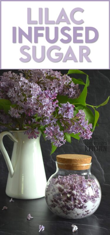 Lilac Infused Sugar is one of those things you didn't know you needed until you have it. Combine the two and watch the magic happen! Over the course of a few days, the sugar strips the lilac petals of all their moisture and scent. The sugar can then be used anywhere sugar is used! #lilac #infused #sugar #lilacsugar #lilacrecipes #infusedsugar