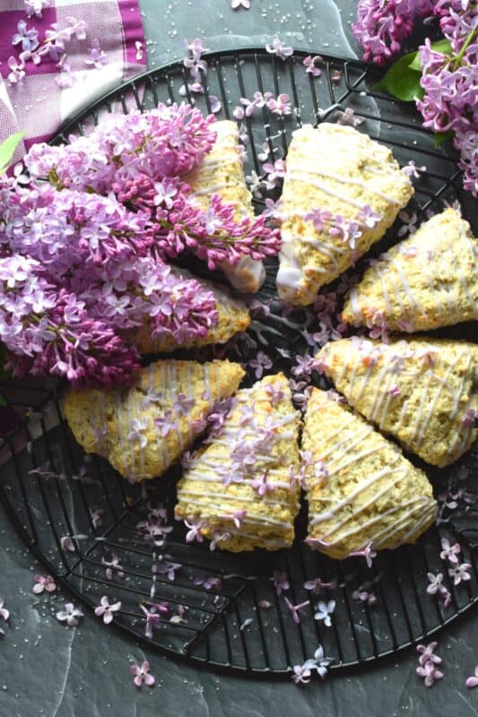 Glazed Lilac Scones are packed with fresh lilac petals and lots of lilac infused flavour too! If you didn't know lilacs were edible, you've been missing out this whole time! With a gentle lemon-like taste, and powerful and pungent floral overtones, these scones are great for any warm-weather breakfast or brunch. Lilac season is short, so get started right away! #lilacs #edibleflowers #scones #brunch #purple #bakingwithlilacs