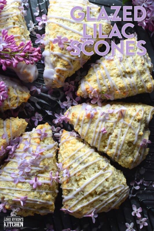 Glazed Lilac Scones are packed with fresh lilac petals and lots of lilac infused flavour too! If you didn't know lilacs were edible, you've been missing out this whole time! With a gentle lemon-like taste, and powerful and pungent floral overtones, these scones are great for any warm-weather breakfast or brunch. Lilac season is short, so get started right away! #lilacs #edibleflowers #scones #brunch #purple #bakingwithlilacs