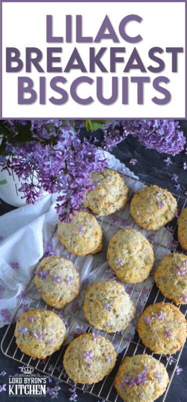 Light and fluffy Lilac Breakfast Biscuits are not your average biscuit. They are only slightly sweet, but they are very aromatic and pretty too! Some refer to these as tea biscuits, but they're quite large and too special to be just a biscuit. Prepare these for a weekend family breakfast or make them a part of a guest brunch - they really are quite impressive! #lilacs #breakfast #brunch #teabiscuits #biscuits