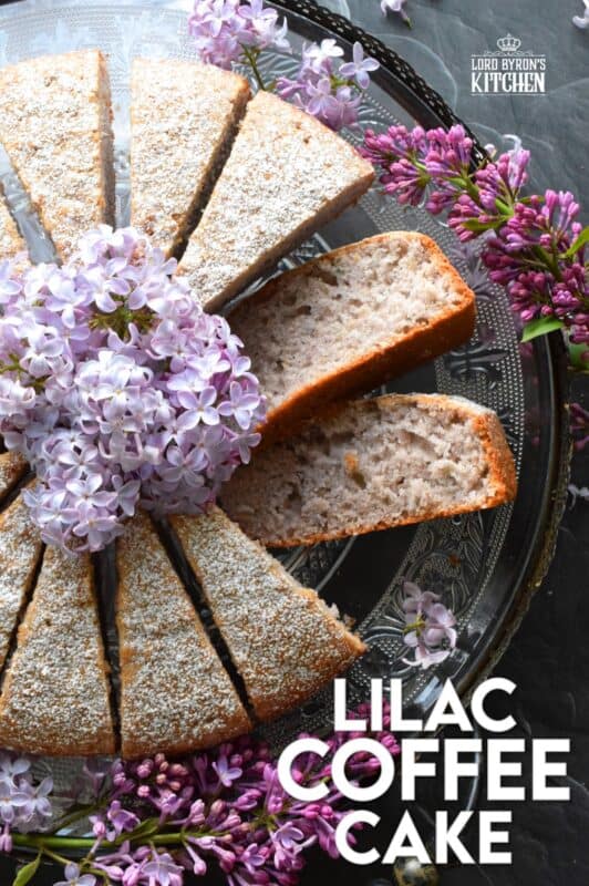 The old adage that simple is better certainly applies in the case of this Lilac Coffee Cake. A light dusting of confectioner's sugar and some gently placed lilac branches is all this moist and spongy cake needs to look superb! A perfect early summer treat, served with a tea or coffee - it really doesn't get any better! #lilac #edibleflowers #lilacs #cake #coffee #summer #spring #dessert