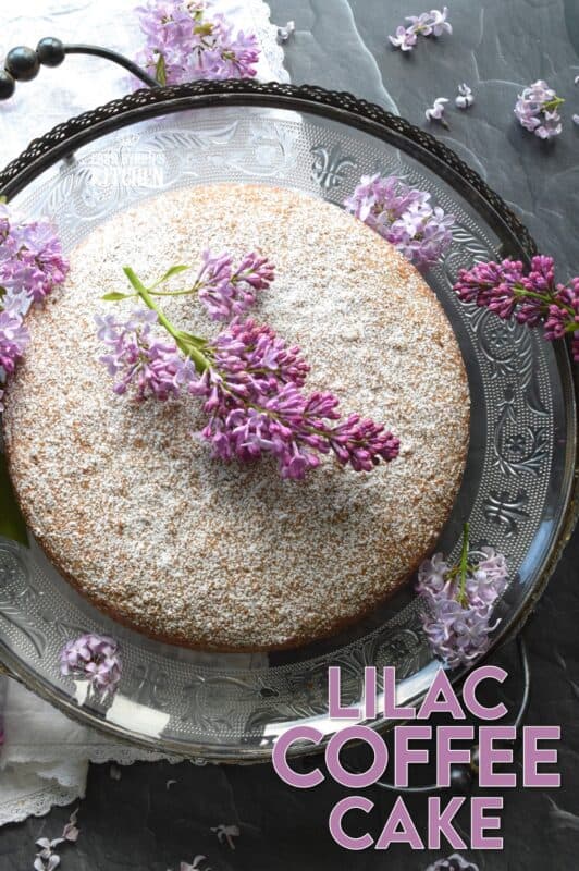 The old adage that simple is better certainly applies in the case of this Lilac Coffee Cake. A light dusting of confectioner's sugar and some gently placed lilac branches is all this moist and spongy cake needs to look superb! A perfect early summer treat, served with a tea or coffee - it really doesn't get any better! #lilac #edibleflowers #lilacs #cake #coffee #summer #spring #dessert
