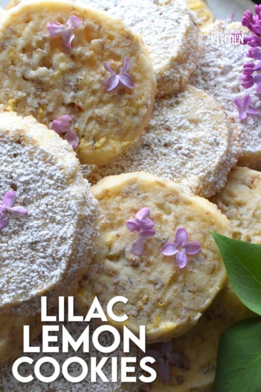 Prepare these cookies in advance and bake them up in a hurry whenever needed. Straight from the fridge to the oven, Lilac Lemon Cookies are delicious and pretty too! As an added bonus, these cookies can be rolled, wrapped, and frozen for up to three months! Then, when ready, thaw, slice, and bake! #lilac #lemon #cookies #edibleflowers #lilaccookies #lilacs