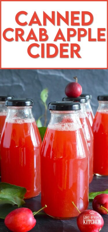 What a deliciously rewarding way to put all of those garden crab apples to good use! This Crab Apple Cider is canned in a waterbath canner to ensure safe longterm storage. Nothing beats a warm, homemade crab apple cider on a cold wintery day! #crabapple #apple #cider #applecider #canned #homemade