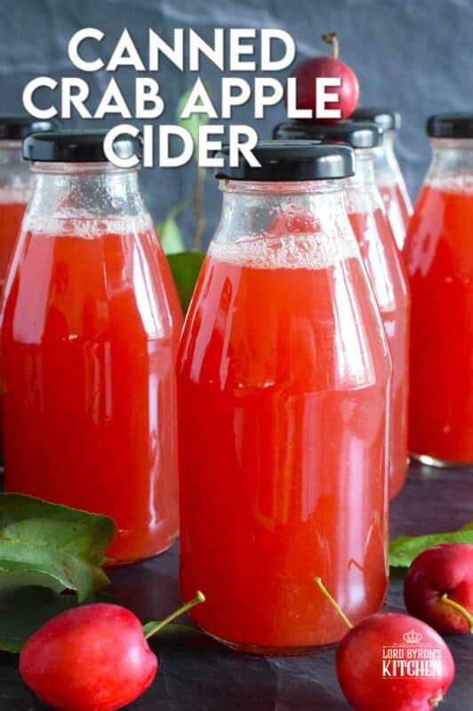What a deliciously rewarding way to put all of those garden crab apples to good use! This Crab Apple Cider is canned in a waterbath canner to ensure safe longterm storage. Nothing beats a warm, homemade crab apple cider on a cold wintery day! #crabapple #apple #cider #applecider #canned #homemade