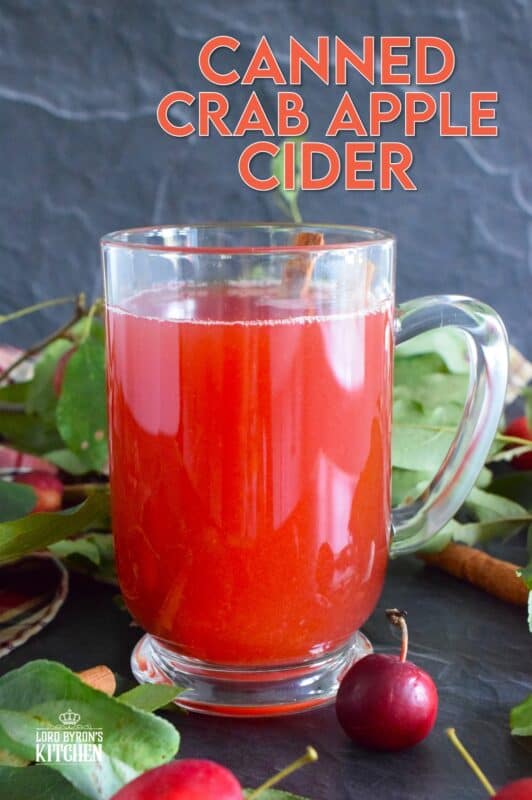 What a deliciously rewarding way to put all of those garden crab apples to good use! This Crab Apple Cider is canned in a waterbath canner to ensure safe longterm storage. Nothing beats a warm, homemade crab apple cider on a cold wintery day! #crabapple #apple #cider #applecider #canned #homemade