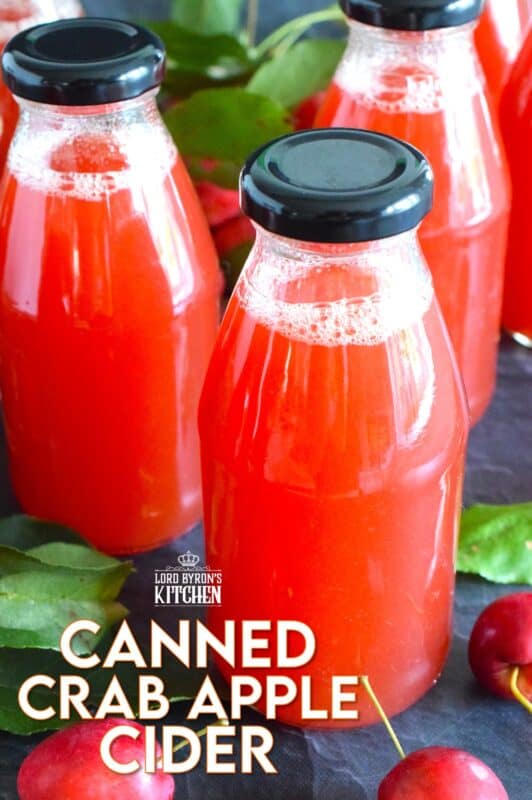What a deliciously rewarding way to put all of those garden crab apples to good use! This Crab Apple Cider is canned in a waterbath canner to ensure safe longterm storage. Nothing beats a warm, homemade crab apple cider on a cold wintery day! #crabapple #apple #cider #applecider #canned #homemade