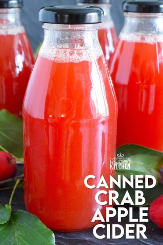 What a deliciously rewarding way to put all of those garden crab apples to good use! This Crab Apple Cider is canned in a waterbath canner to ensure safe longterm storage. Nothing beats a warm, homemade crab apple cider on a cold wintery day! #crabapple #apple #cider #applecider #canned #homemade