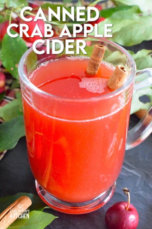 What a deliciously rewarding way to put all of those garden crab apples to good use! This Crab Apple Cider is canned in a waterbath canner to ensure safe longterm storage. Nothing beats a warm, homemade crab apple cider on a cold wintery day! #crabapple #apple #cider #applecider #canned #homemade