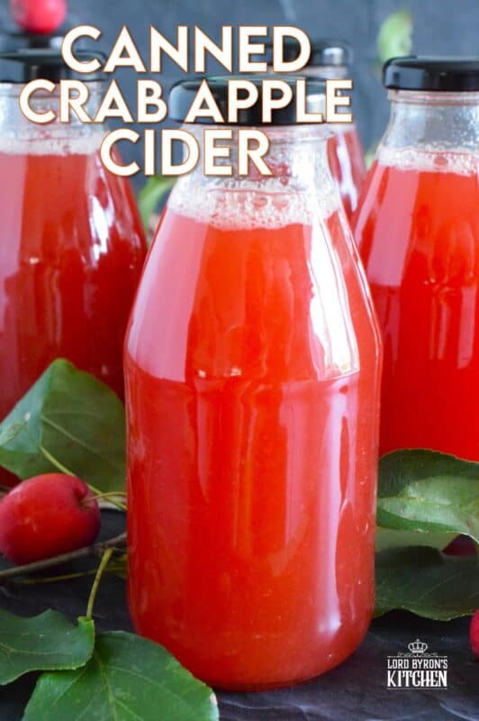 What a deliciously rewarding way to put all of those garden crab apples to good use! This Crab Apple Cider is canned in a waterbath canner to ensure safe longterm storage. Nothing beats a warm, homemade crab apple cider on a cold wintery day! #crabapple #apple #cider #applecider #canned #homemade