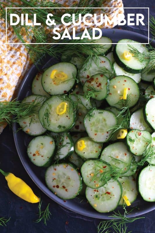 Toss cucumber slices with fresh dill fronds in a seasoned vinegar and lemon juice dressing to make this Dill and Cucumber Salad.  It's light and refreshing with just the right amount of brightness and zing.  Garnish with thinly sliced hot chilies for colour and heat. #cucumber #dill #fresh #salad #vinegar #oil