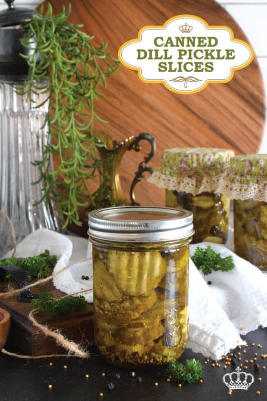 If your backyard garden is producing any cucumbers right now, then you'll want to make a batch of these Canned Dill Pickle Slices! You only need 10 cucumbers, but this recipe can be doubled or tripled depending on how many jars you want to make. These pickles keep their crispy, crunchy texture too! #dill #dillpickles #pickles #canned #slices #cucumber #canning #waterbath