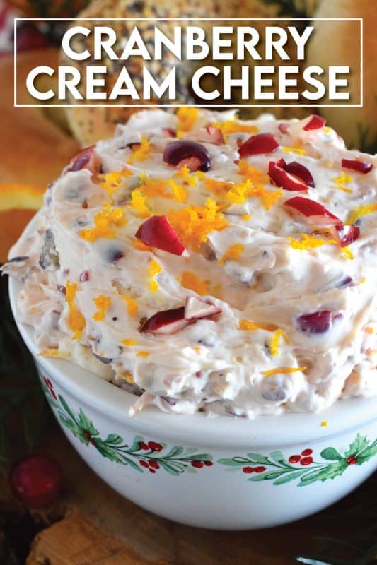 Smeared (shmeared?) liberally on toasted bagels or freshly made waffles, used as a dip when snacking on cheese and pretzels, or even as a frosting on your favourite spiced cake, this Cranberry Cream Cheese Spread will elevate them all! Made with orange zest, there is certainly no shortage of flavour here! #cranberry #cheese #creamcheese #dip #spread