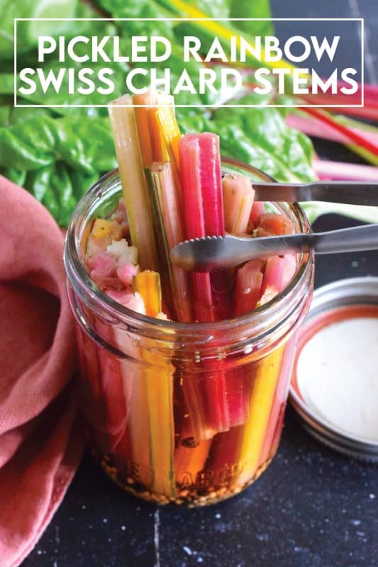 Oftentimes, swiss chard stems are discarded, but did you know you can pickle them and they retain a crunchy texture with a tangy, sweet, and vinegary flavour? I'm using rainbow swiss chard here, but any chard will do. Try wrapping one with salty ham for a quick charcuterie-like snack! #swisschard #stems #pickled #quickpickle #refridgerator