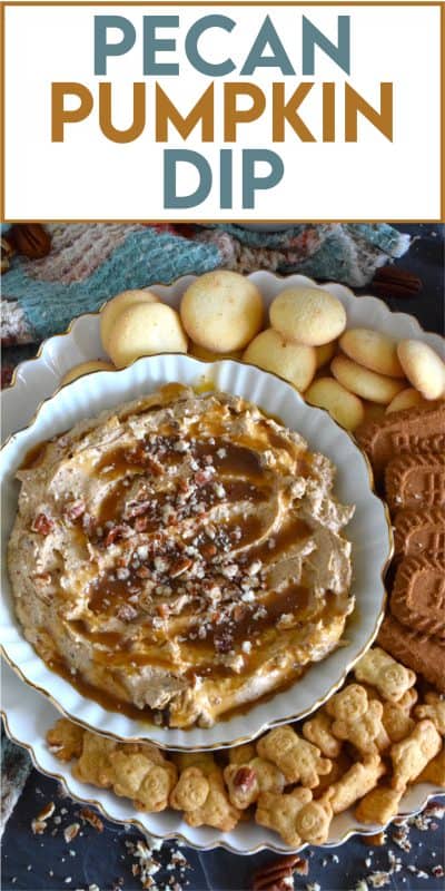 Used as a dip with apples or pretzels, smeared liberally on toasted bagels or freshly made waffles, or even as a frosting on your favourite spiced cake, this Pecan Pumpkin Dip will elevate them all! Made with pumpkin spice and pumpkin puree, there is certainly no shortage of pumpkin flavour here! #dip #pumpkin #pumpkinspice #creamcheese