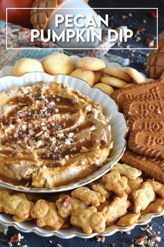 Used as a dip with apples or pretzels, smeared liberally on toasted bagels or freshly made waffles, or even as a frosting on your favourite spiced cake, this Pecan Pumpkin Dip will elevate them all! Made with pumpkin spice and pumpkin puree, there is certainly no shortage of pumpkin flavour here! #dip #pumpkin #pumpkinspice #creamcheese