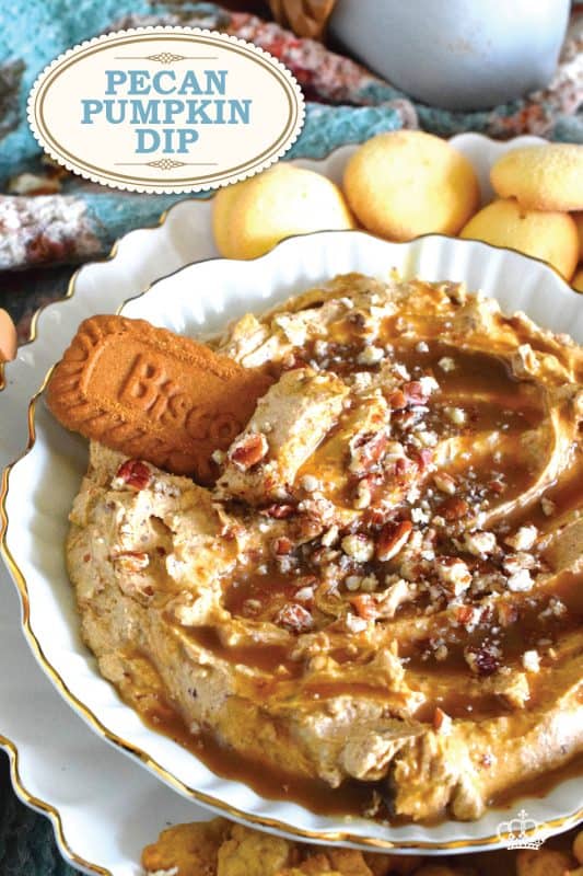 Used as a dip with apples or pretzels, smeared liberally on toasted bagels or freshly made waffles, or even as a frosting on your favourite spiced cake, this Pecan Pumpkin Dip will elevate them all! Made with pumpkin spice and pumpkin puree, there is certainly no shortage of pumpkin flavour here! #dip #pumpkin #pumpkinspice #creamcheese